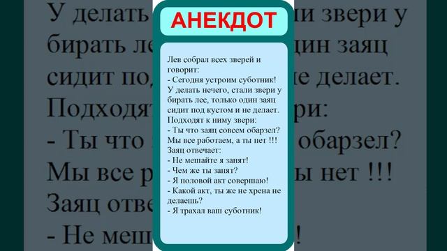 Лучшие анекдоты. Смешные анекдоты. Веселые анекдоты.