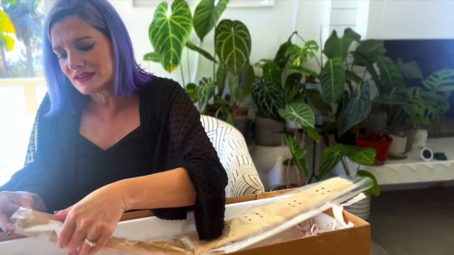 Ecuagenera UNBOXING:  3 Rare Plants under $30!