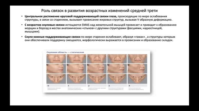Комплексные программы для коррекции птоза лица (демо)
