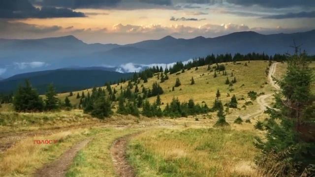 Я тебе родной человек,а она кто  Муж сделал вид что не понимает свою жену