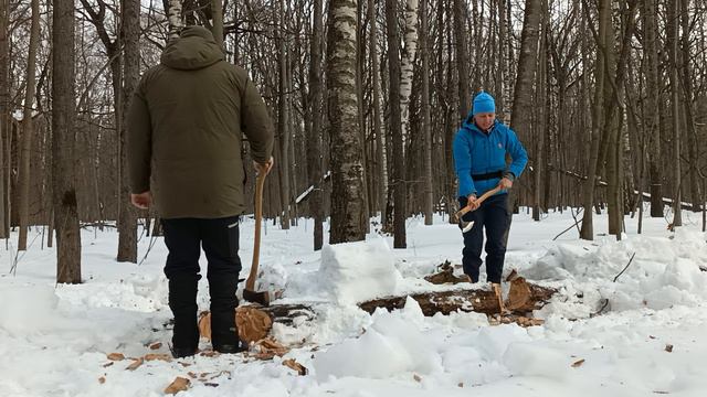 Тестирование топора на дубе. Отзыв на легкий походный топор весом 1 кг.