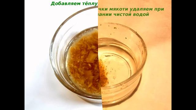 Как получить свои cобственные семена картофеля.