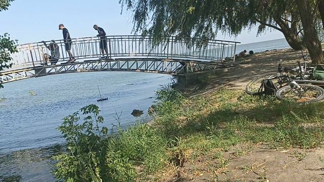 Радиоуправляемый кораблик - Морская жизнь.