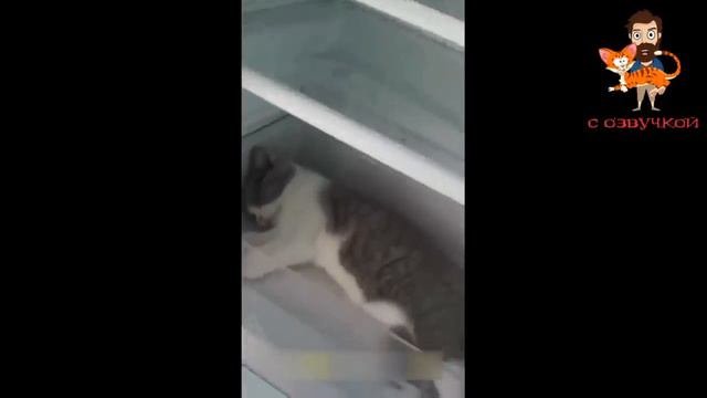 1000004214.mp4