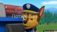 ~Гонщик и Сильвия милая милая ~