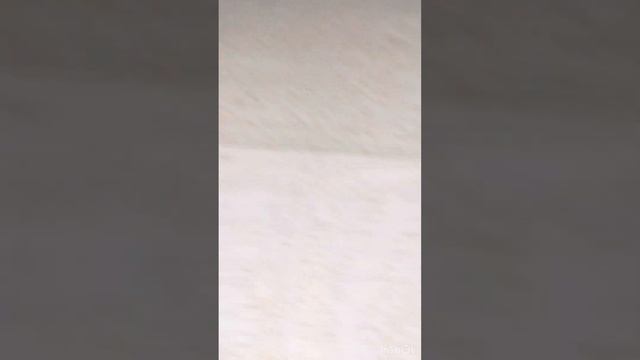 Я украл 100 рублей у КОШКИ!
