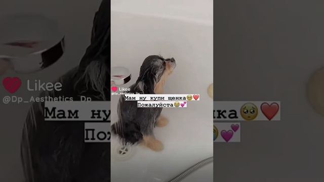 1000002850.mp4