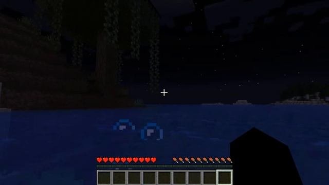 I played Minecraft java for the first time