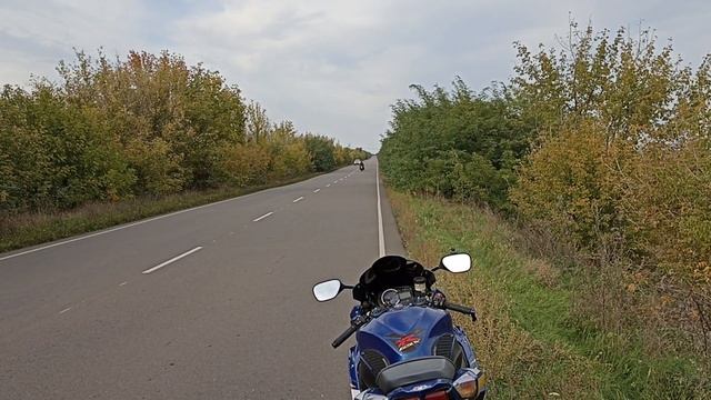 Honda CBR1100XX как сгорает сцепление)))