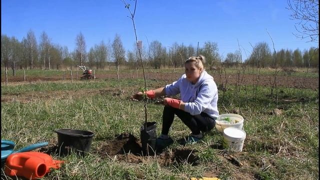 Садовые дорожкиспилыкамниполубревна и прочие майские дела.... ??