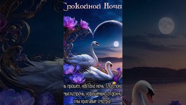 Доброй ночки, красивых снов ❤💋