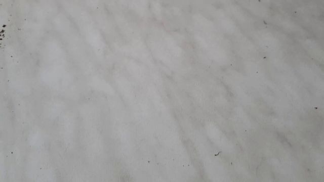 Как мы МУЧИЛИСЬ с КОКОСОМ ??????  Как БЫСТРО открыть КОКОС! ??? Эксперимент от DenKa Tube
