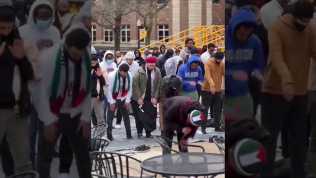 Американские студенты, протестующие в кампусе в поддержку Палестины, приняли ислам.
