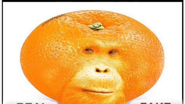 жням ням