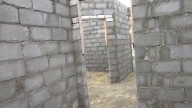 Розы Люксембург 13 Коттедж