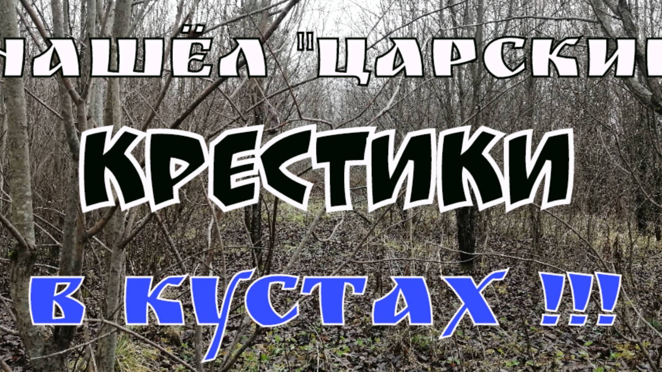 НАШЁЛ ЦАРСКИЕ КРЕСТИКИ В КУСТАХ. ПОИСК МОНЕТ И СТАРИНЫ С ЭКВИНОКС 800.