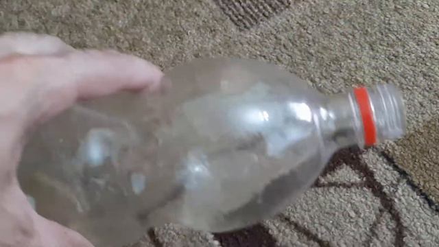 Борьба с мышами