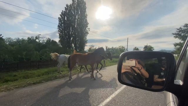 САМЕГРЕЛО ГИДЫ ПО ГРУЗИИ БАТУМИ 2021