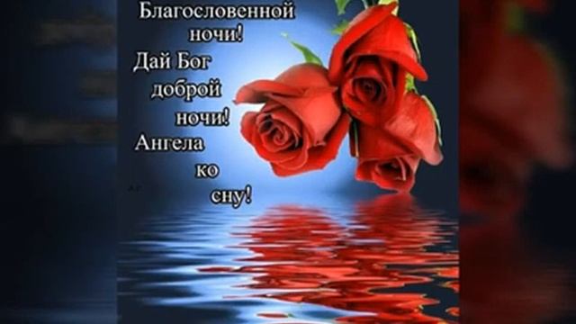 Благословенной ночи 10311 (0.30)