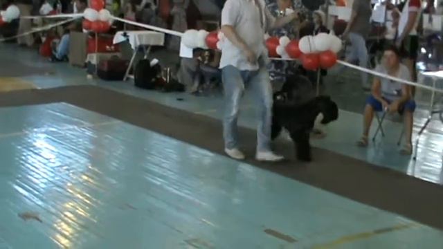 видео с моно Озерск 7  7  2012 класс победителей 4
