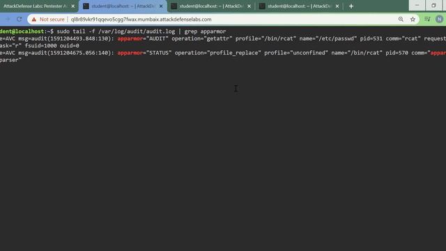 Advanced Linux Privilege Escalation: AppArmor Profile