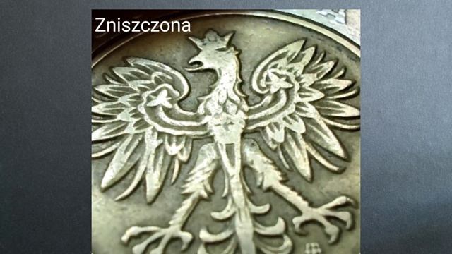 5 złotych rocznik 1994 1996 cena 100 zł za mennicza, zniszczona to tylko 5 zł Ceny 2022 #Inflacja