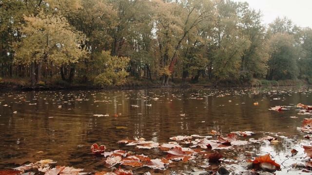 Осенняя музыка (autumn elegy)