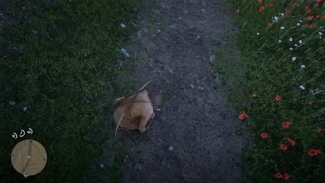 Red Dead Redemption 2 Прохождение сюжета игры Глава 2 у нас новый конь