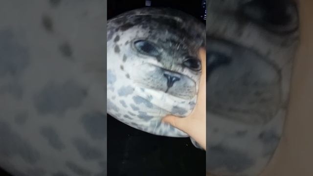 тюлень воуу