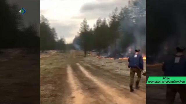 Жители Якши и Курьи Троико-Печорского района потушили лесной пожар в 4 километрах от Курьи
