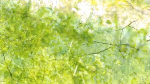 J.S.Bach : Sonata For Solo Violin No.1 In G Minor, BWV1001 【1. Adagio】