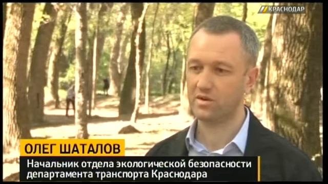 В парке 30-летия Победы волонтеры убрали территорию от мусора и сухостоя