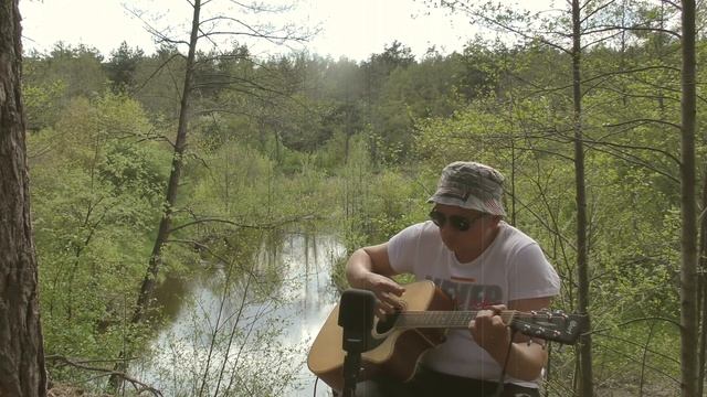 David Duchovny [Дэвид Духовны] - Everything Is Noise (full acoustic cover on Trostianitsa 05.05.23)