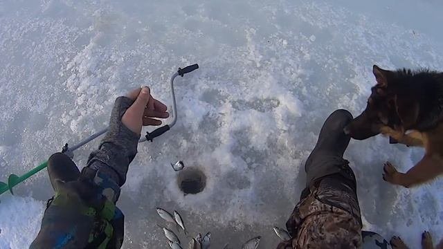 Рыбалка в Башкирии 1 января 2018 года.