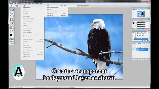 How to change the background of a picture in photoshop 7 0
