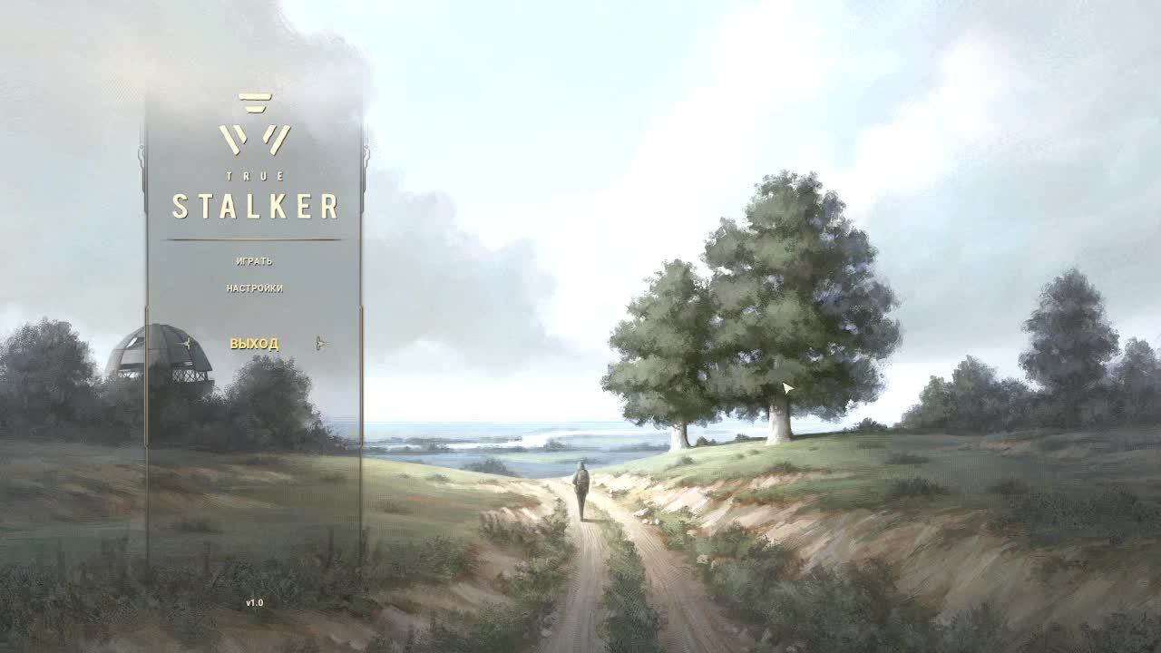 True S.T.A.L.K.E.R.