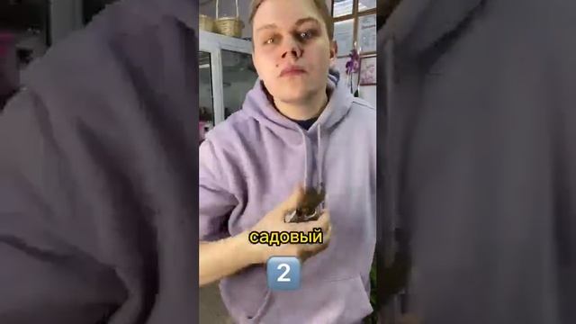 Какой секатор удобней для вас?