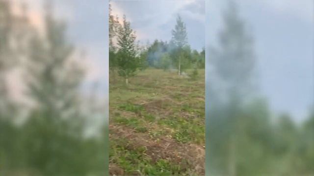 Петарды FPC609/2 Джокер от сети пиротехнических магазинов "Энергия Праздника"