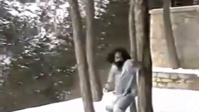 Уданский мастер Ван Пин (王平) тренирует зимой в горах багуачжан фэй цзюгун фа (八卦掌飞九宫法).