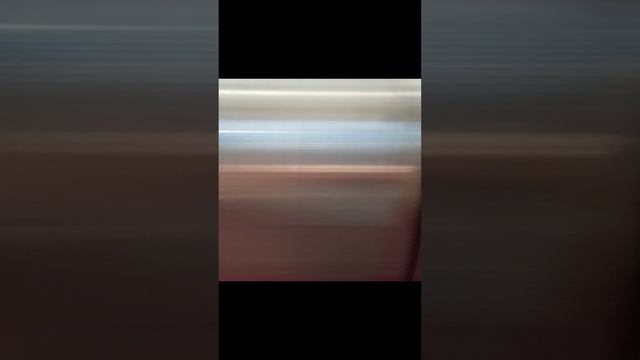 1000006194.mp4