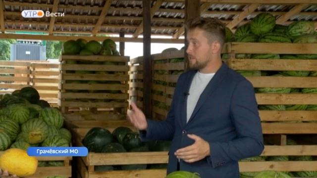 Ставропольский фермер развеял мифы о способах выбора спелого арбуза