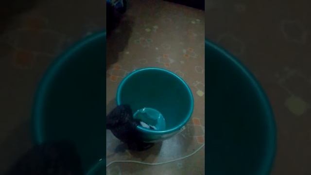 Чем и как мыть велосипед