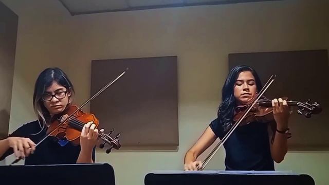 Saint-Saens - The Swan (Violin Duet)