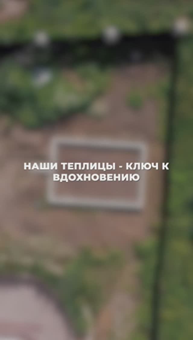Наши теплицы - ключ к вдохновению
#теплица #участок #сад