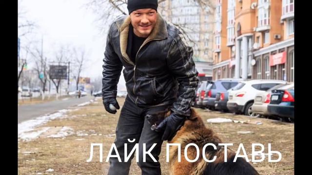 ЭДИТ ДЛЯ ФИЛЬМА ПЁС