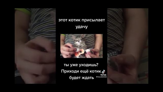 VID-20221213-WA0000.mp4