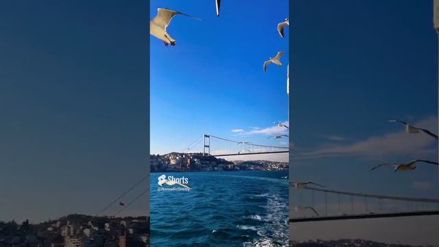 Стамбул. Босфор  Istanbul. Bosfor #istanbul #стамбул #босфор
