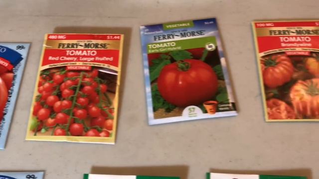 Planting a vegetable garden from seeds! Great project to do with kids!