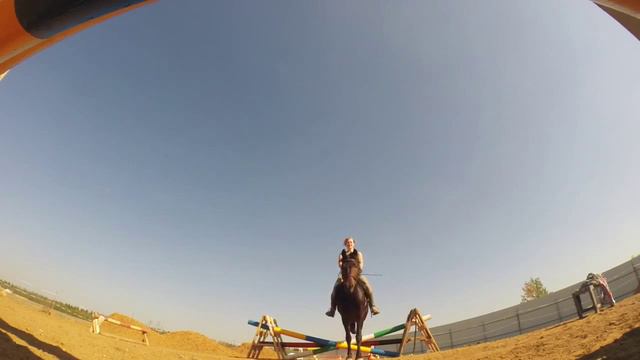 Тренировки по прыжкам. Training of horse jumping. GoPro