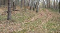ТОП БАГГИ 2021 СВОИМИ РУКАМИ ПОКАТУШКИ КАК СОБРАТЬ